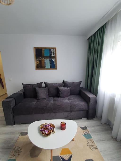 Apartament Ama Sibiu Buitenkant foto
