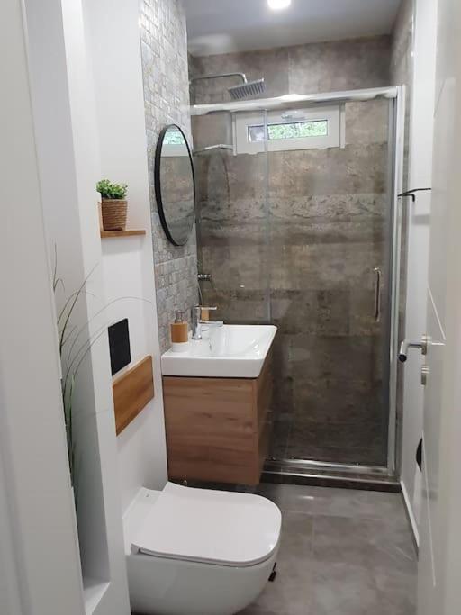 Apartament Ama Sibiu Buitenkant foto