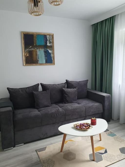 Apartament Ama Sibiu Buitenkant foto