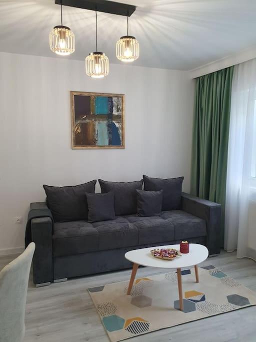 Apartament Ama Sibiu Buitenkant foto