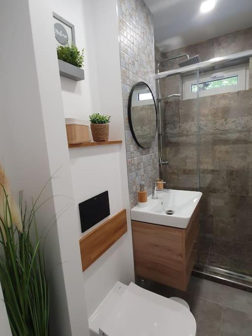 Apartament Ama Sibiu Buitenkant foto